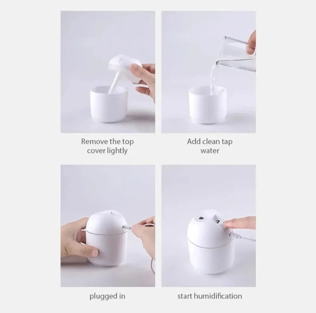 PORTABLE AIR HUMIDIFIER