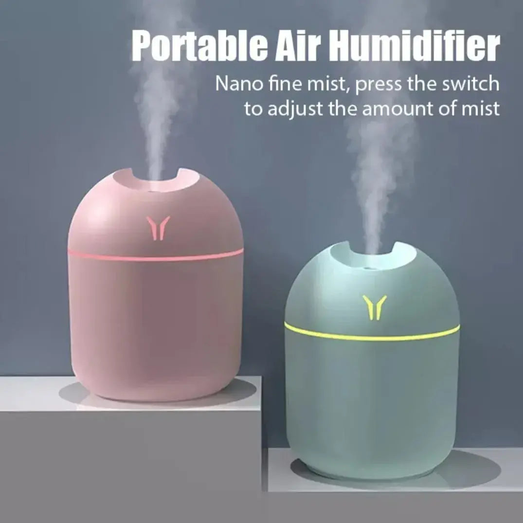 PORTABLE AIR HUMIDIFIER